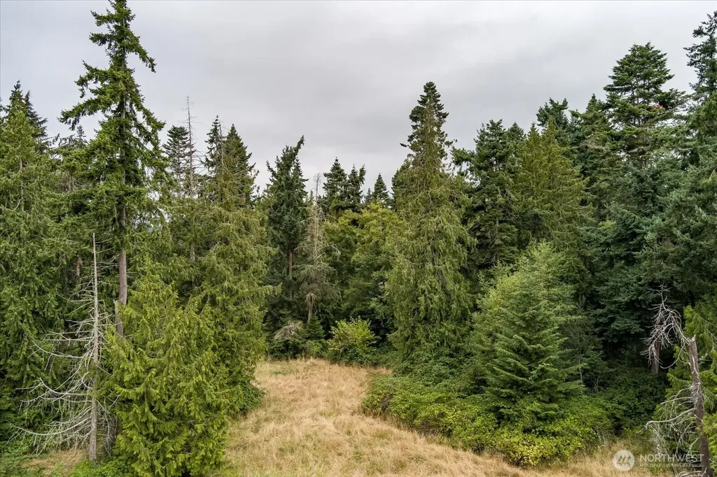 8175 Mossy Rock Road Clinton WA 98236
