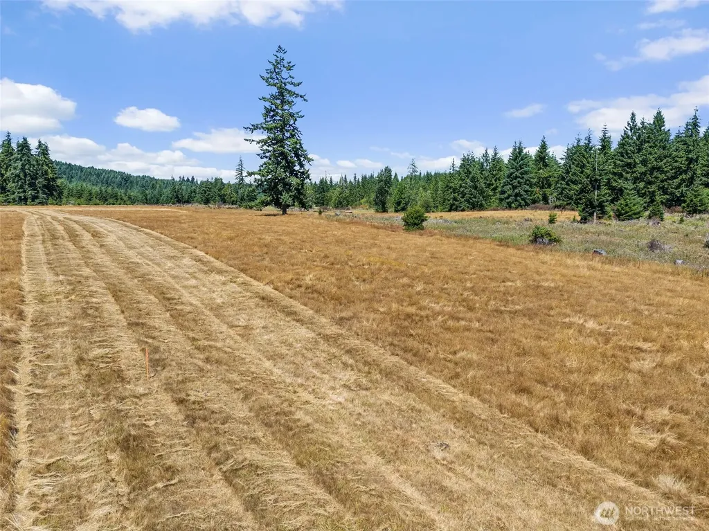 0 Frogner Road Chehalis WA 98532
