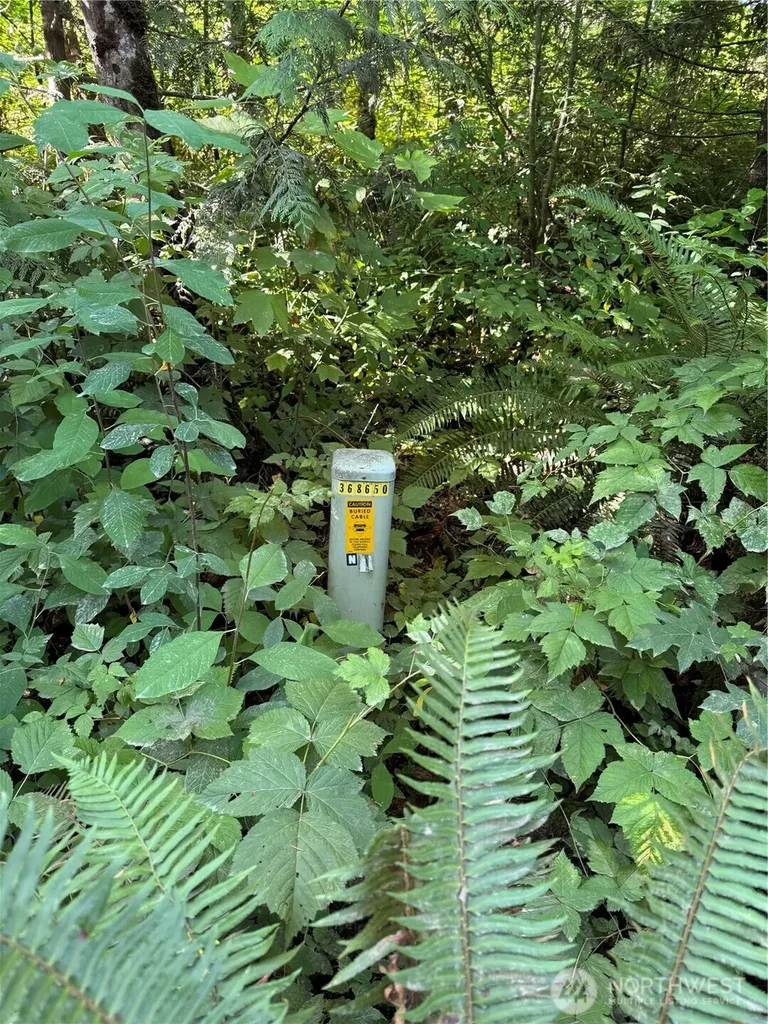 85 372nd Place SE Snoqualmie WA 98065