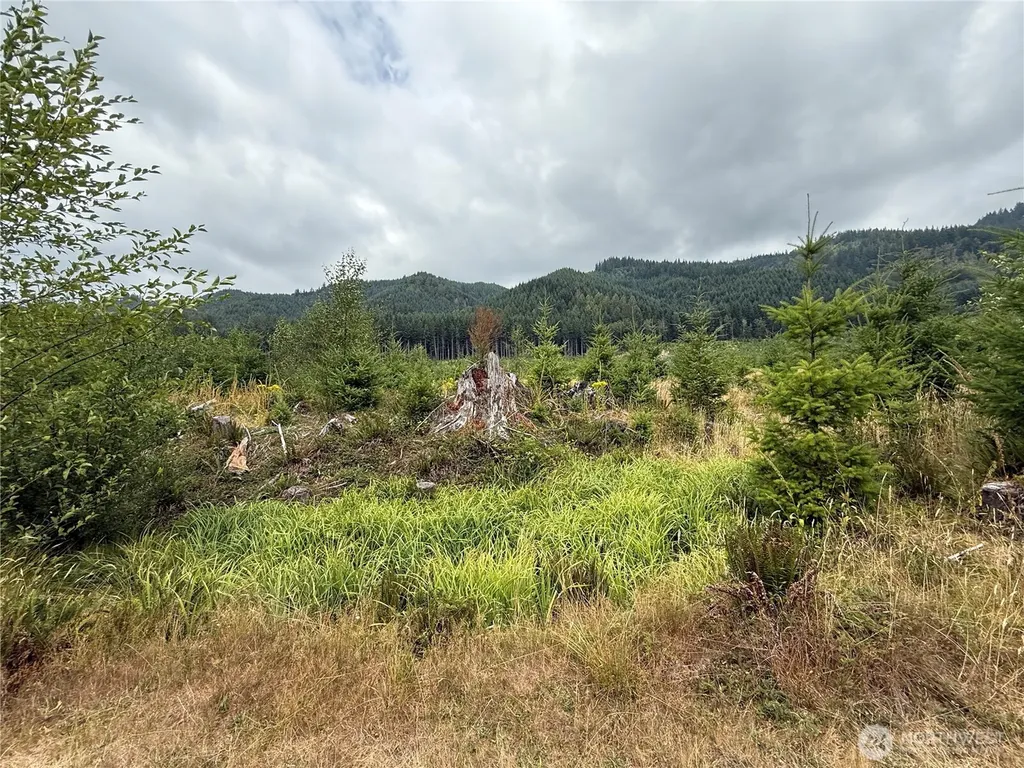 327 Kolisch Road E Carbonado WA 98323