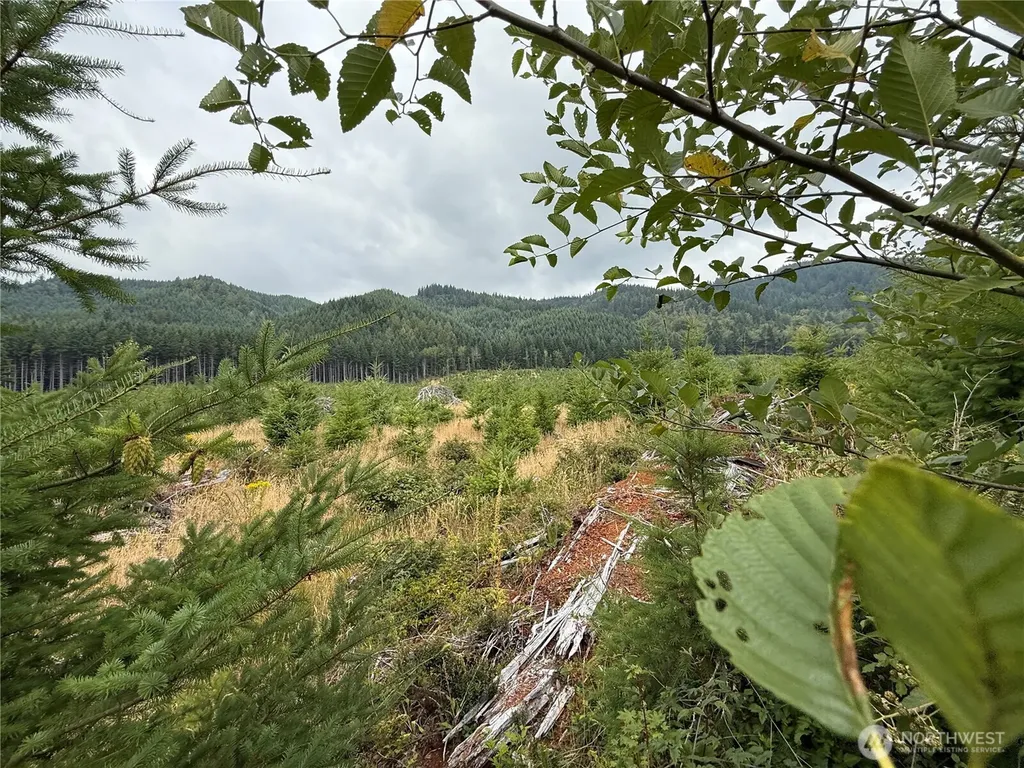 327 Kolisch Road E Carbonado WA 98323