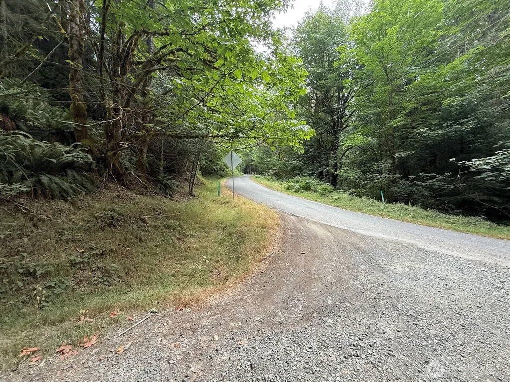 327 Kolisch Road E Carbonado WA 98323