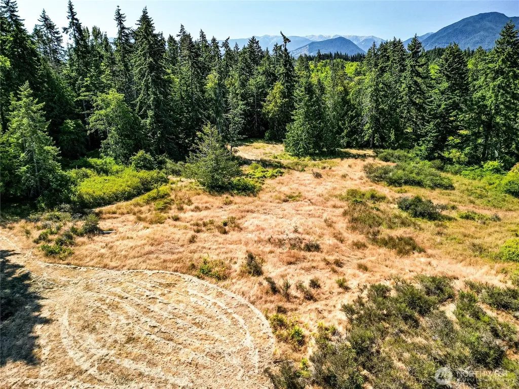 2222 S Bagley Creek Road Port Angeles WA 98362