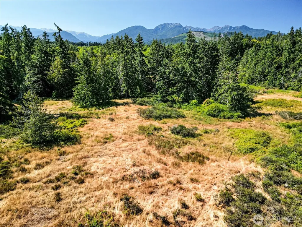 2222 S Bagley Creek Road Port Angeles WA 98362