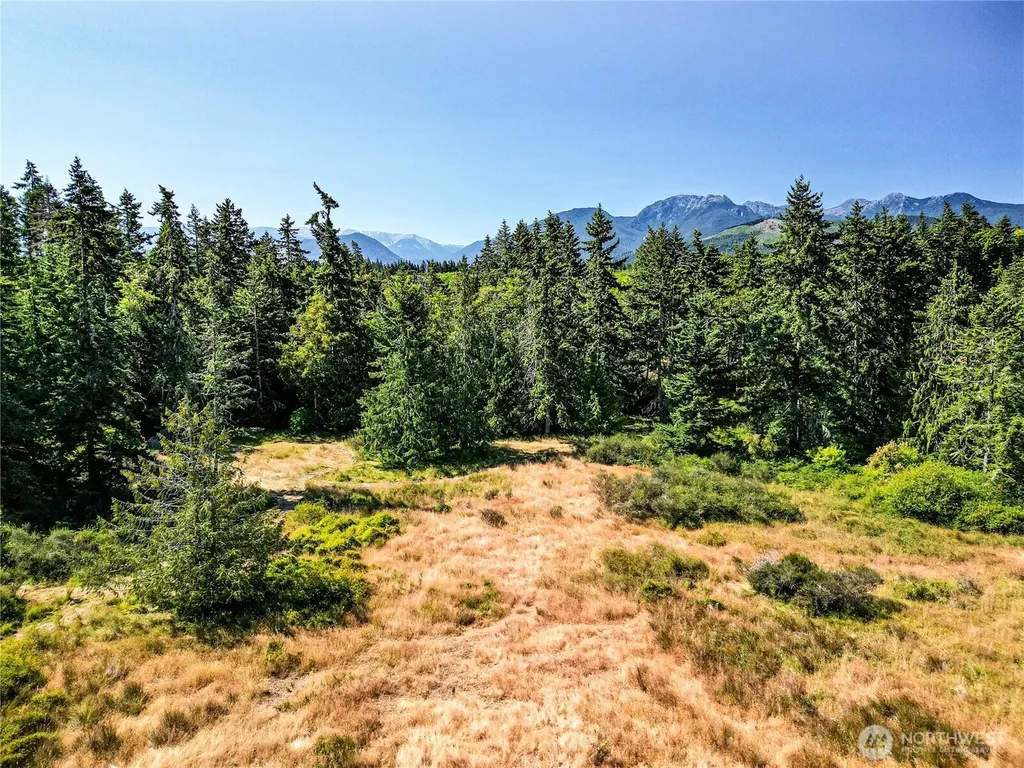2222 S Bagley Creek Road Port Angeles WA 98362