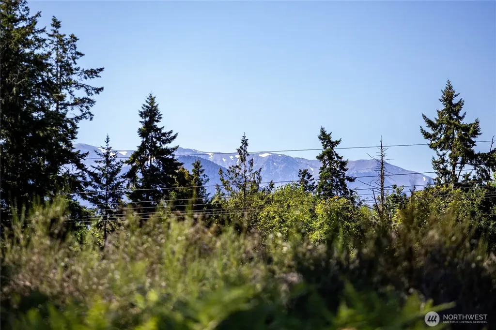 2222 S Bagley Creek Road Port Angeles WA 98362