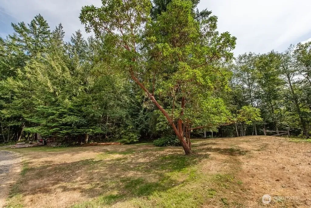 572 Critter Country Trail Sequim WA 98382
