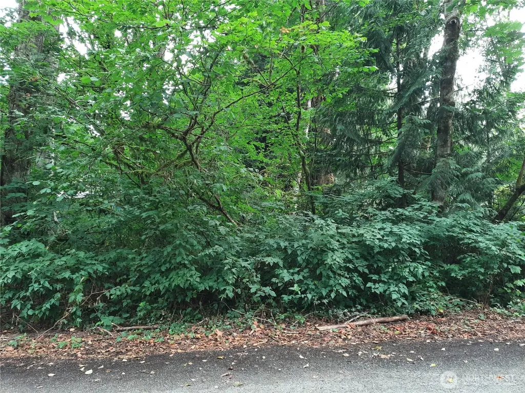 0 Spruce Street Concrete WA 98237
