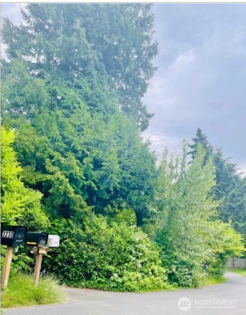 21031 33rd Place W Lynnwood WA 98036