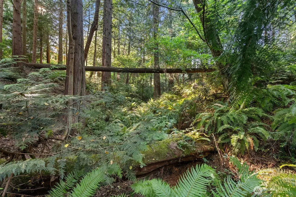 0 Point White Drive NE Bainbridge Island WA 98110