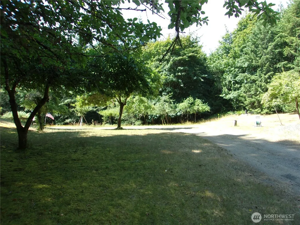 371 Green Mountain Lane Brinnon WA 98320