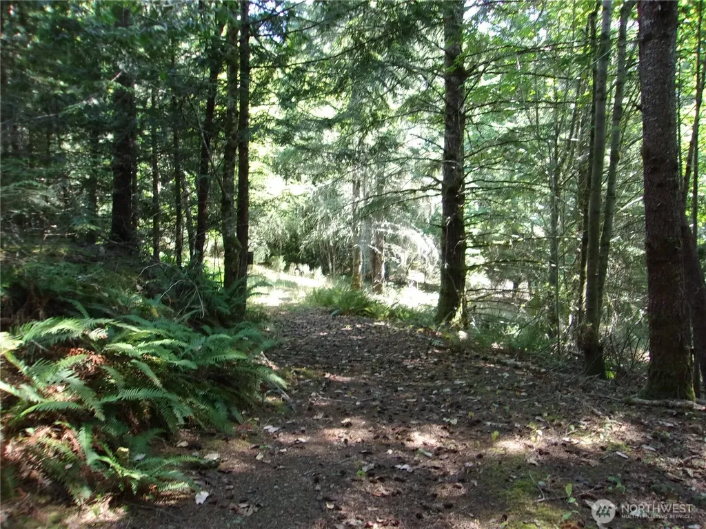 371 Green Mountain Lane Brinnon WA 98320