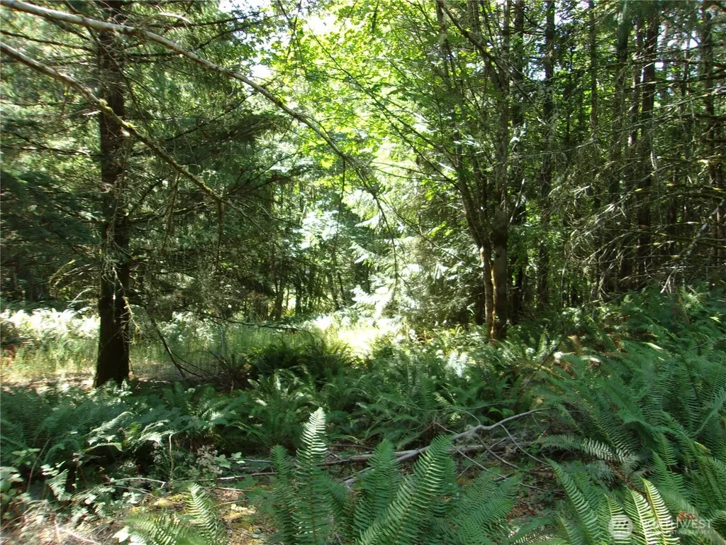 371 Green Mountain Lane Brinnon WA 98320