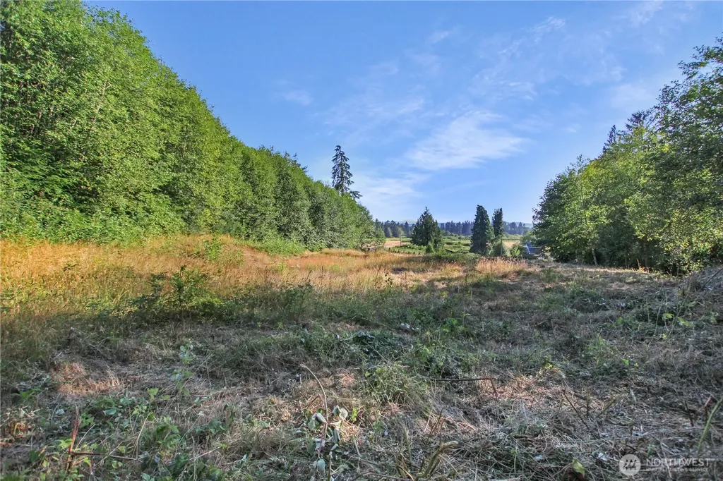 7 Alger Creek Heights Cathlamet WA 98612