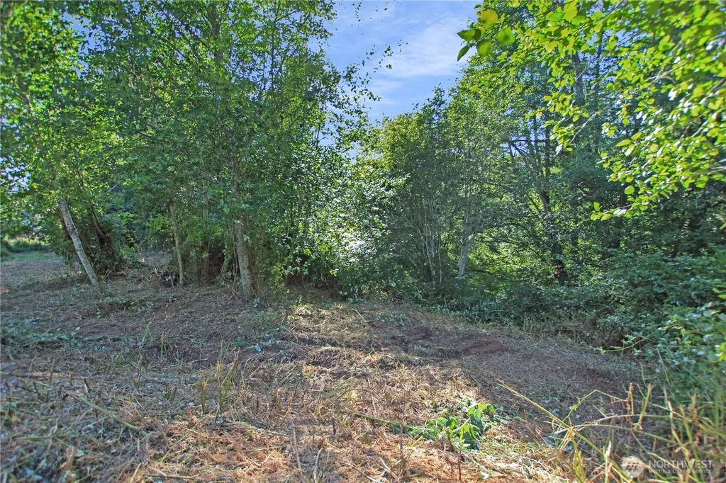 7 Alger Creek Heights Cathlamet WA 98612
