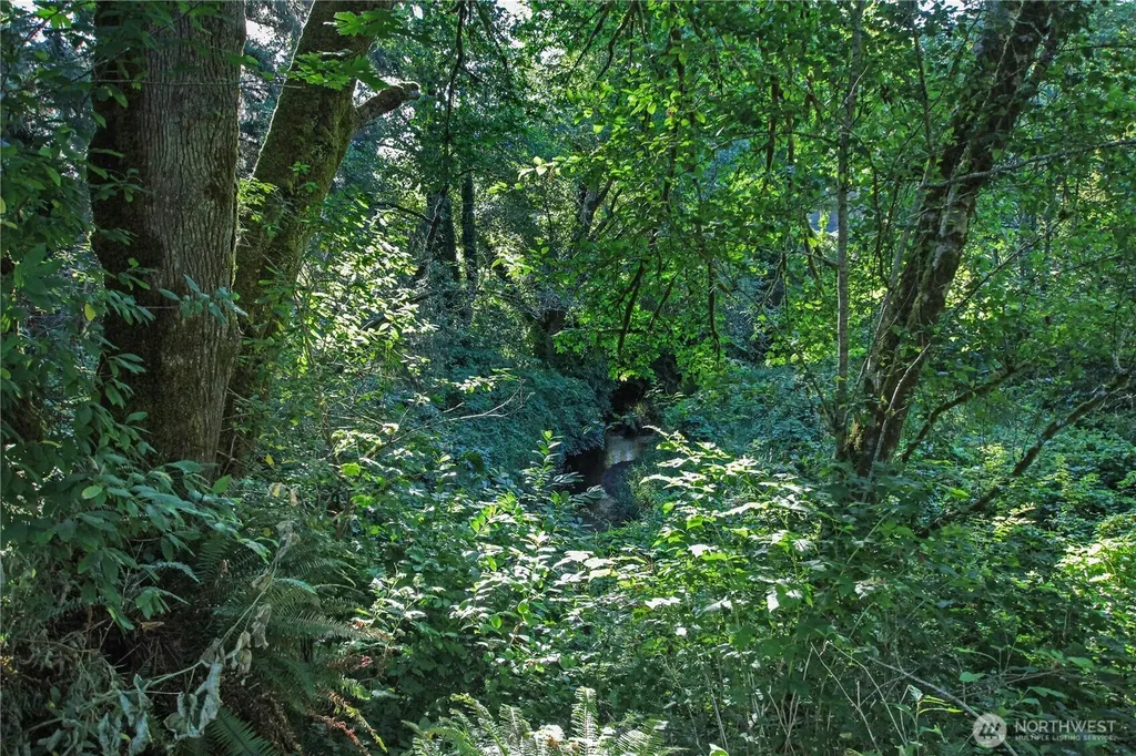 7 Alger Creek Heights Cathlamet WA 98612