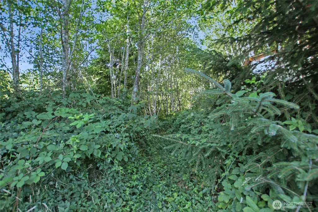 7 Alger Creek Heights Cathlamet WA 98612