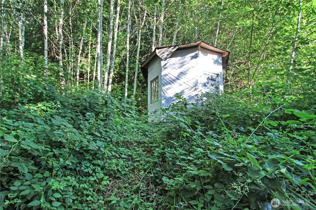 7 Alger Creek Heights Cathlamet WA 98612