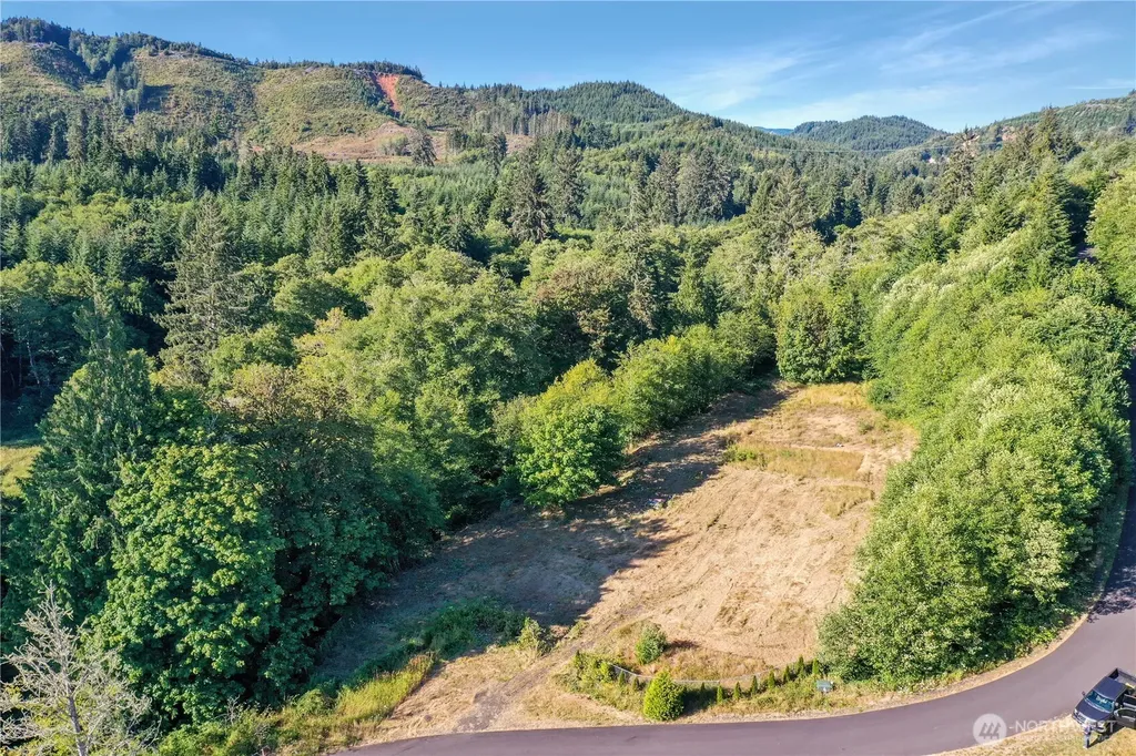 7 Alger Creek Heights Cathlamet WA 98612