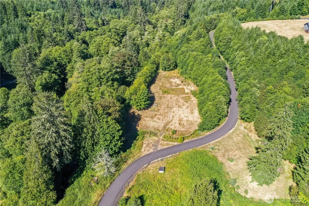 7 Alger Creek Heights Cathlamet WA 98612