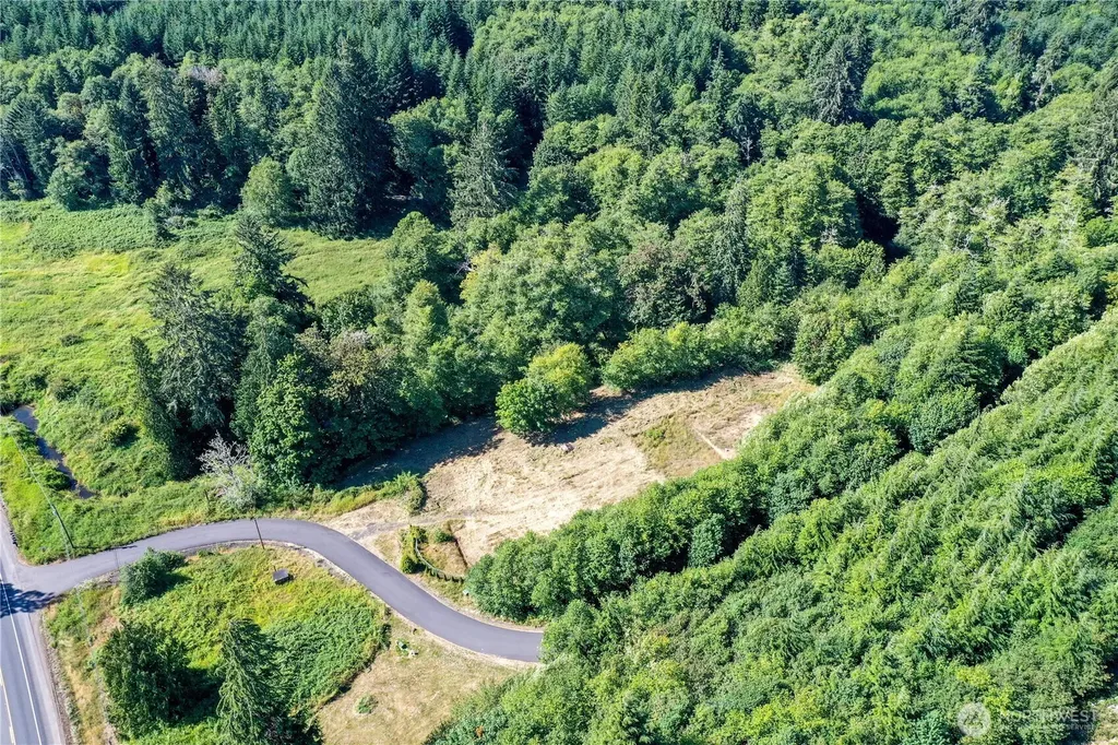 7 Alger Creek Heights Cathlamet WA 98612