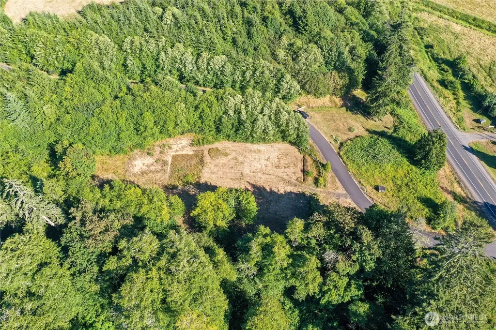 7 Alger Creek Heights Cathlamet WA 98612