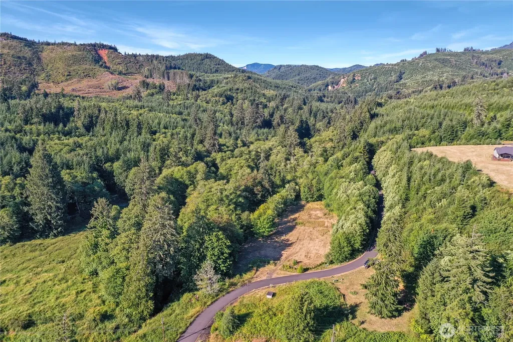 7 Alger Creek Heights Cathlamet WA 98612