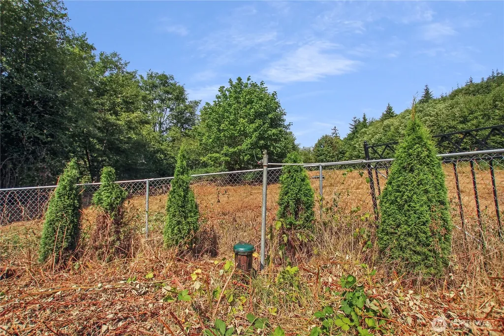 7 Alger Creek Heights Cathlamet WA 98612