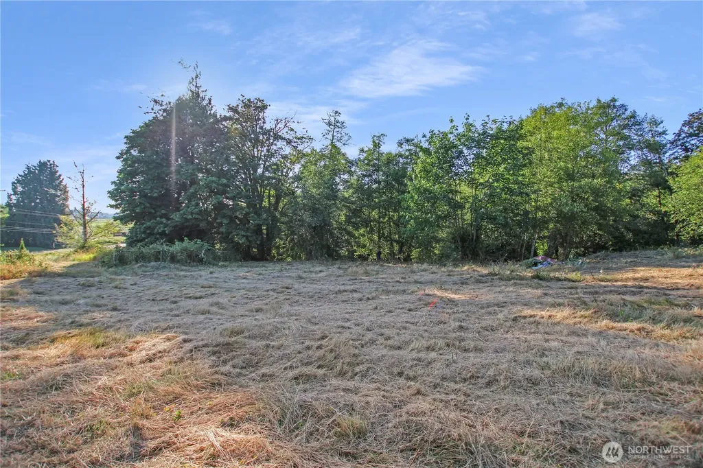 7 Alger Creek Heights Cathlamet WA 98612
