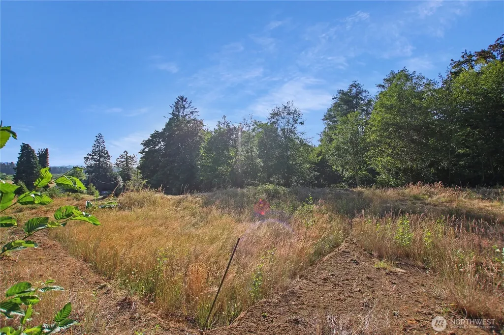 7 Alger Creek Heights Cathlamet WA 98612