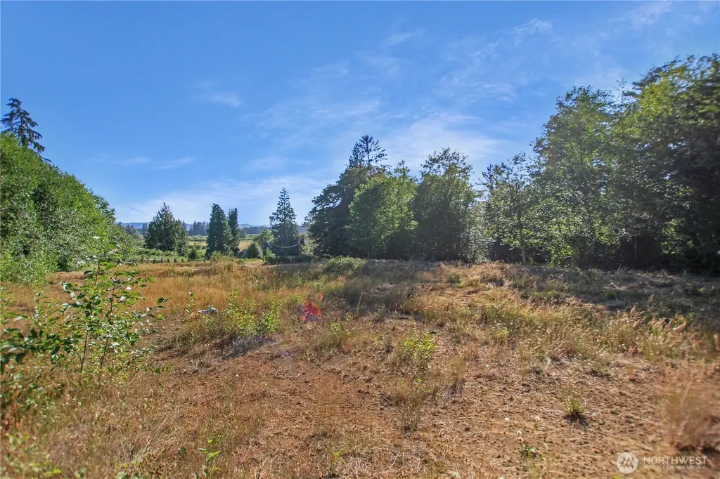 7 Alger Creek Heights Cathlamet WA 98612
