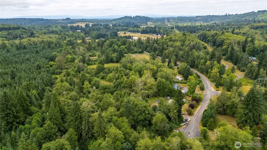 0 Shanklin Road Onalaska WA 98570