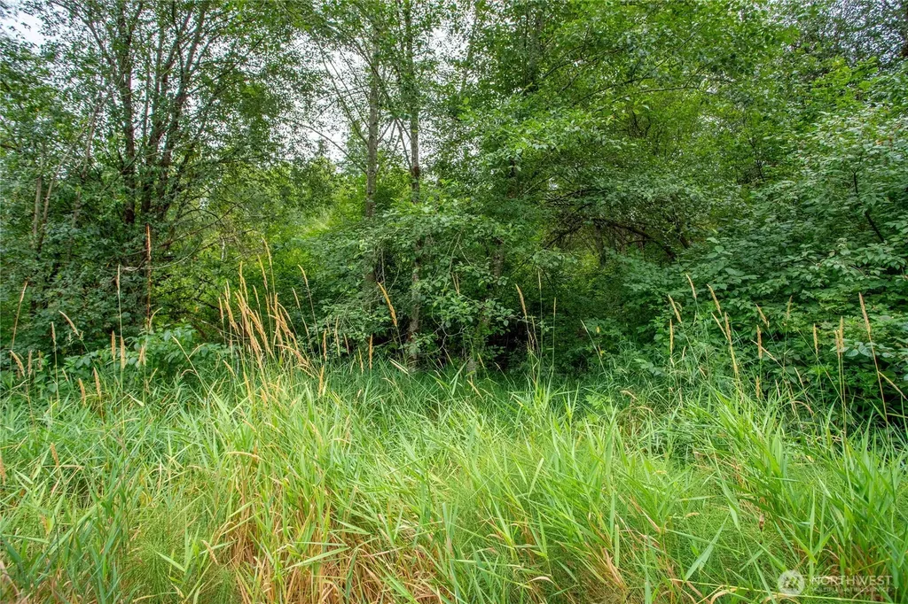 0 Shanklin Road Onalaska WA 98570