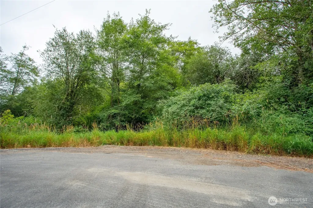 0 Shanklin Road Onalaska WA 98570