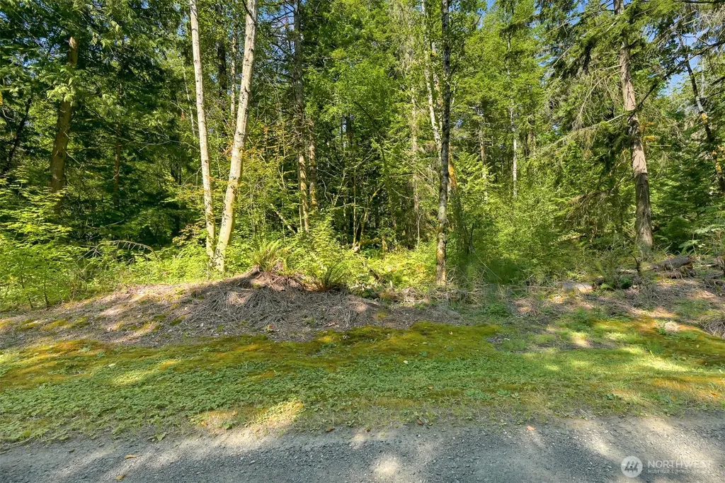 0 Kelly Road Bellingham WA 98226