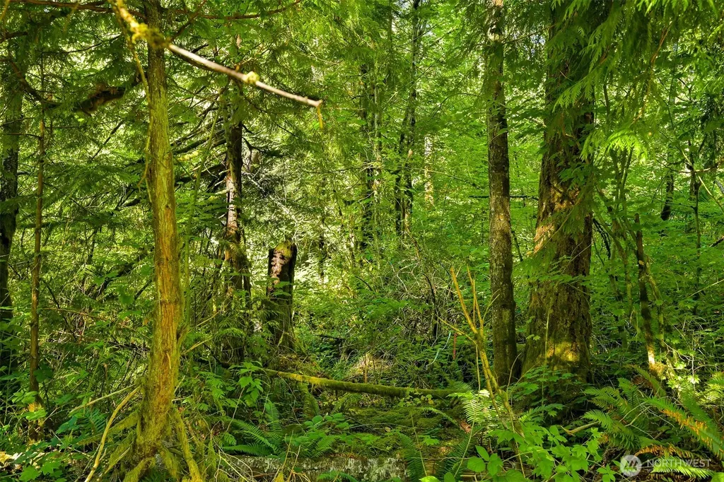 0 Kelly Road Bellingham WA 98226