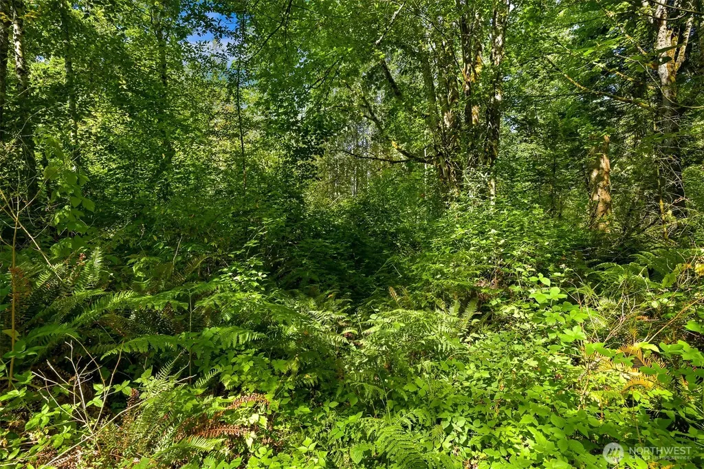 0 Kelly Road Bellingham WA 98226