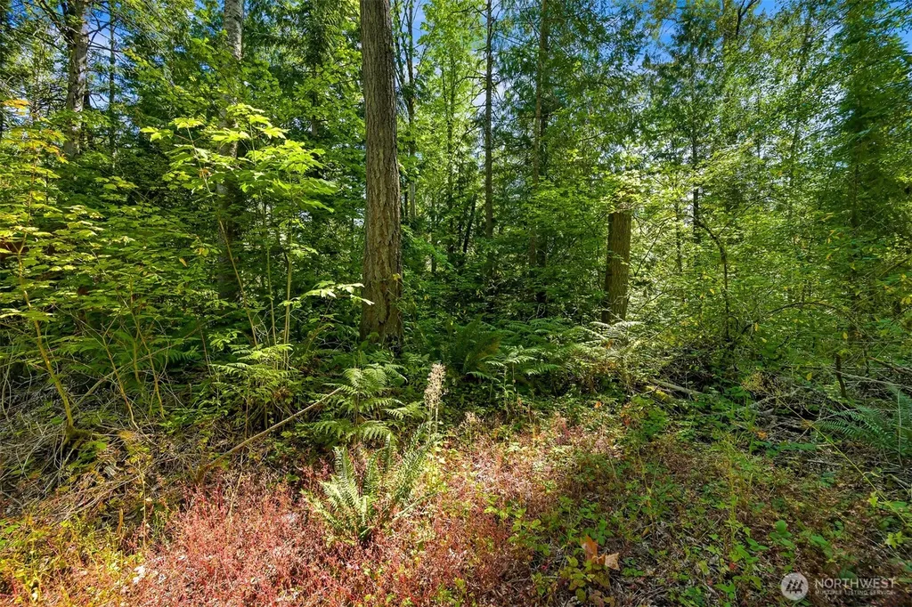 0 Kelly Road Bellingham WA 98226