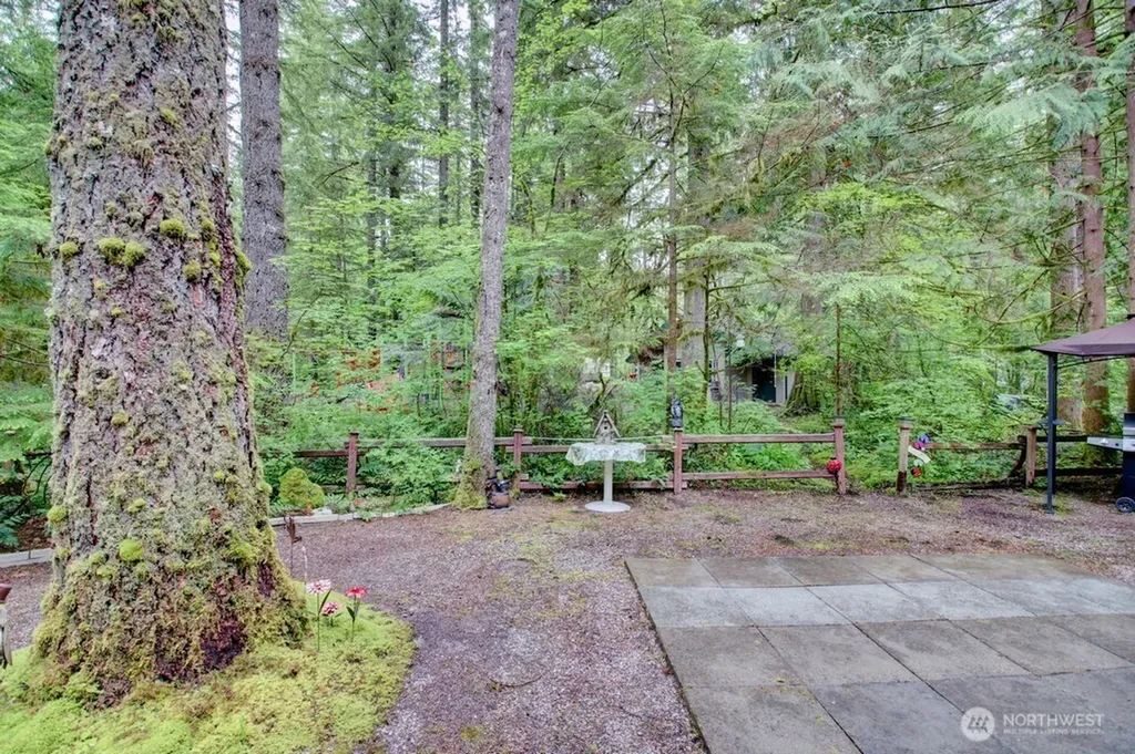25 Goldrush Road Deming WA 98244