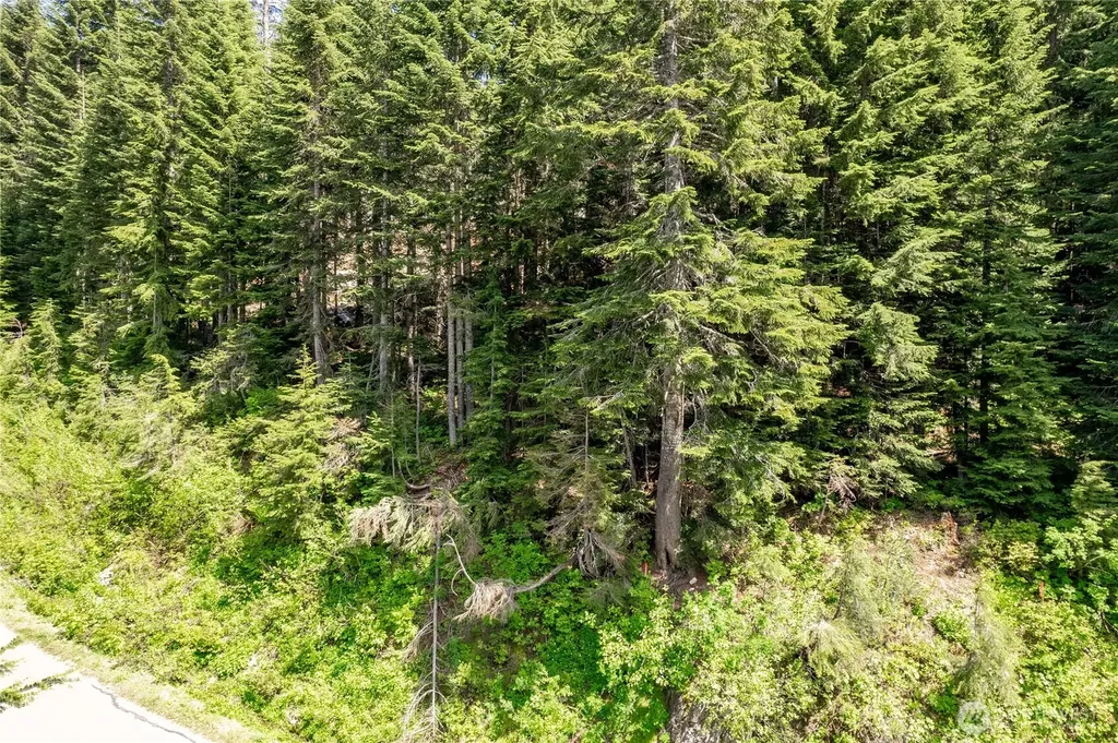 16 Ober Straase Snoqualmie Pass WA 98068