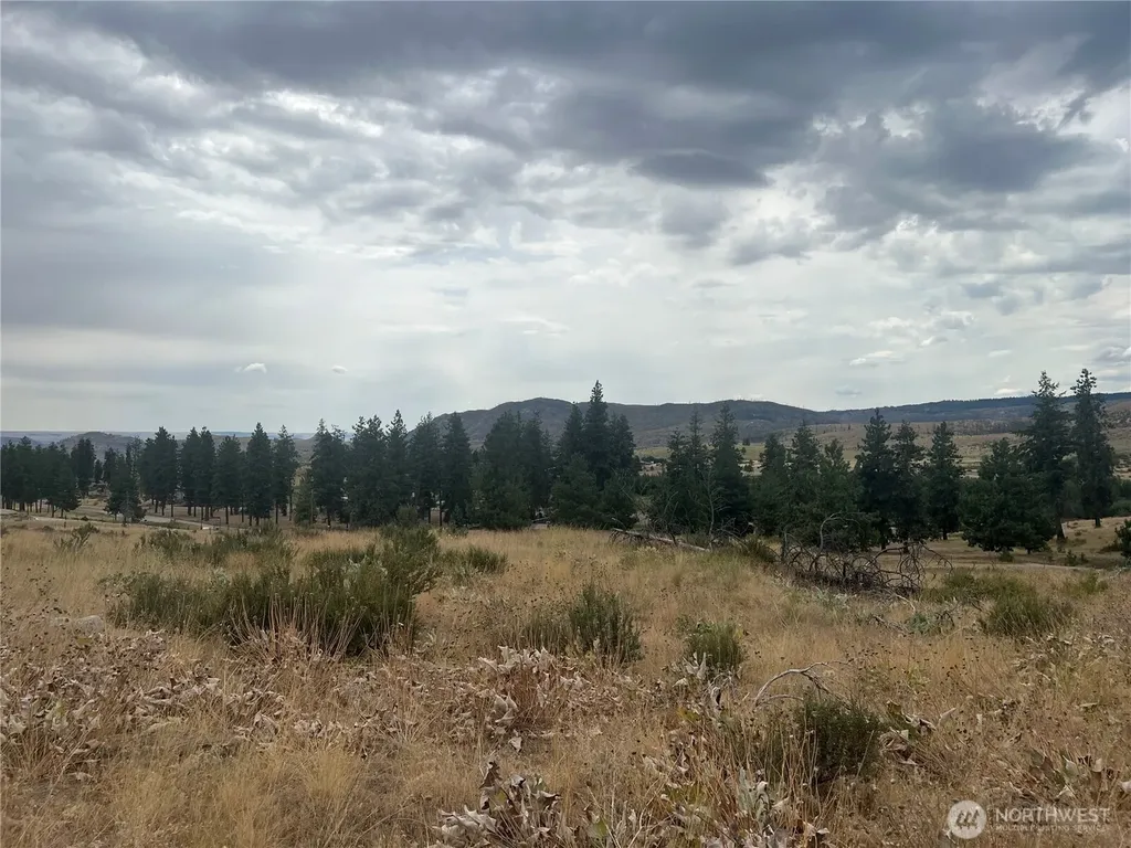 10 Landers Road Malott WA 98829