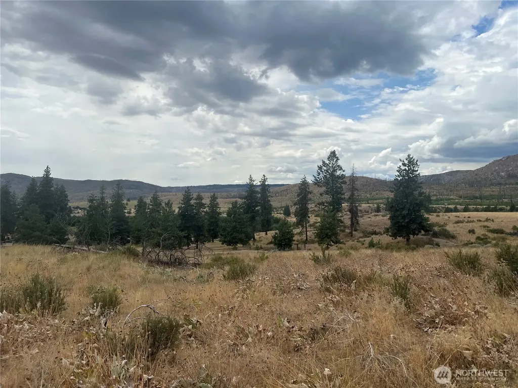 10 Landers Road Malott WA 98829