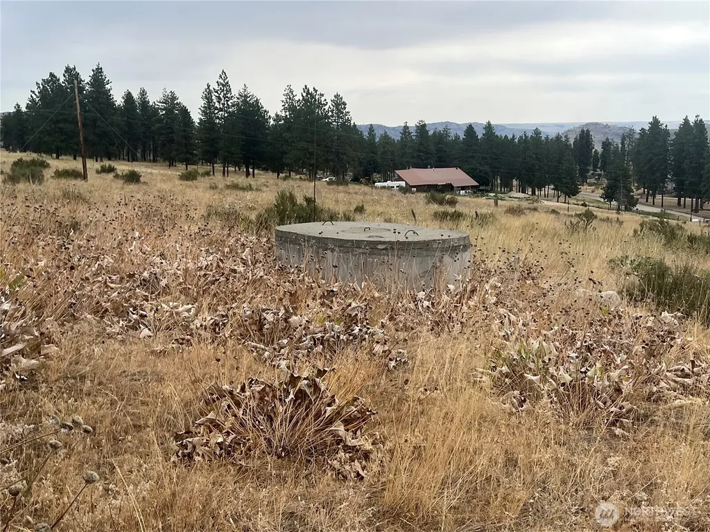 10 Landers Road Malott WA 98829