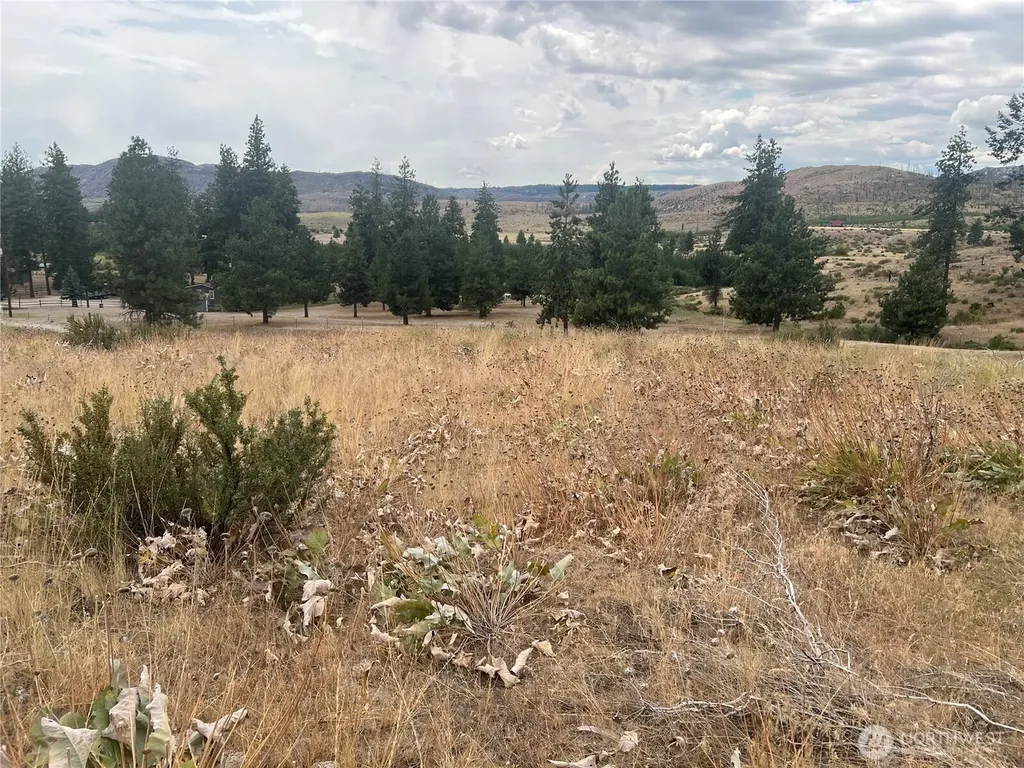 10 Landers Road Malott WA 98829