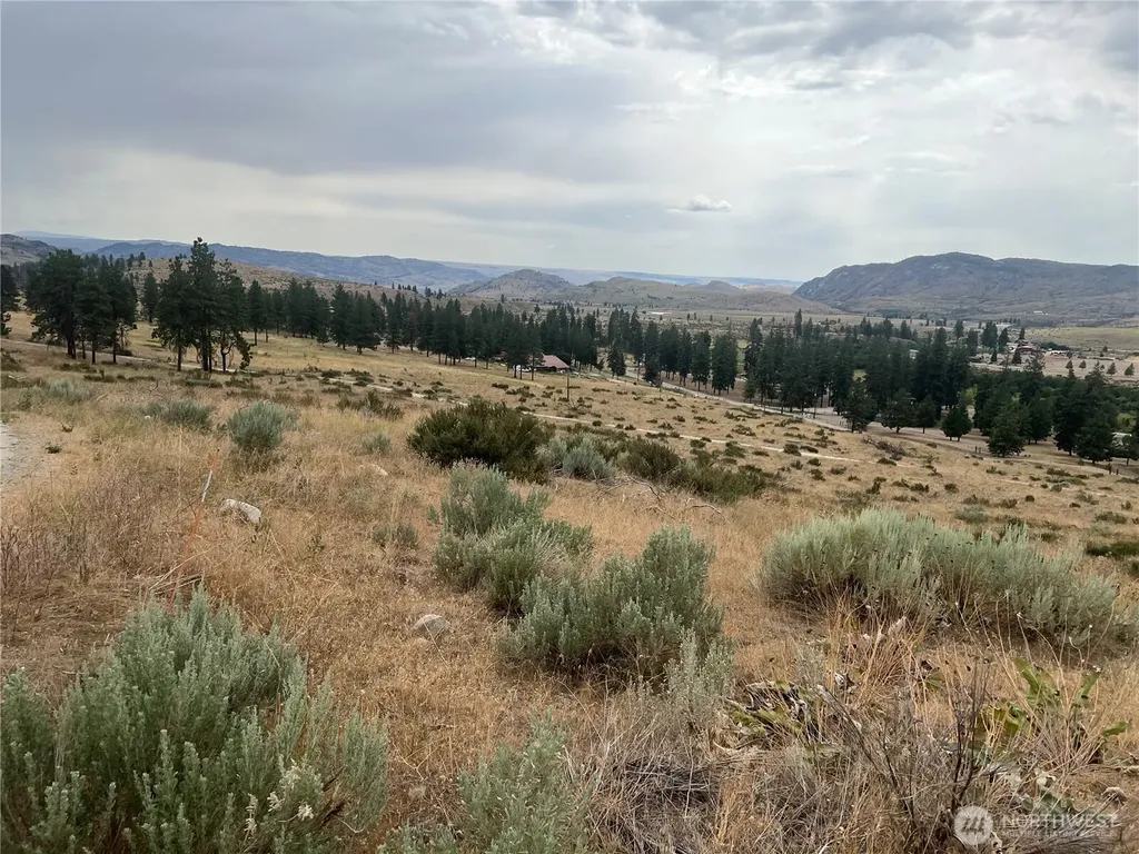 10 Landers Road Malott WA 98829