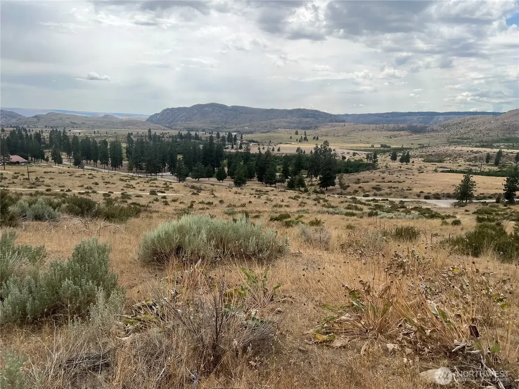 10 Landers Road Malott WA 98829