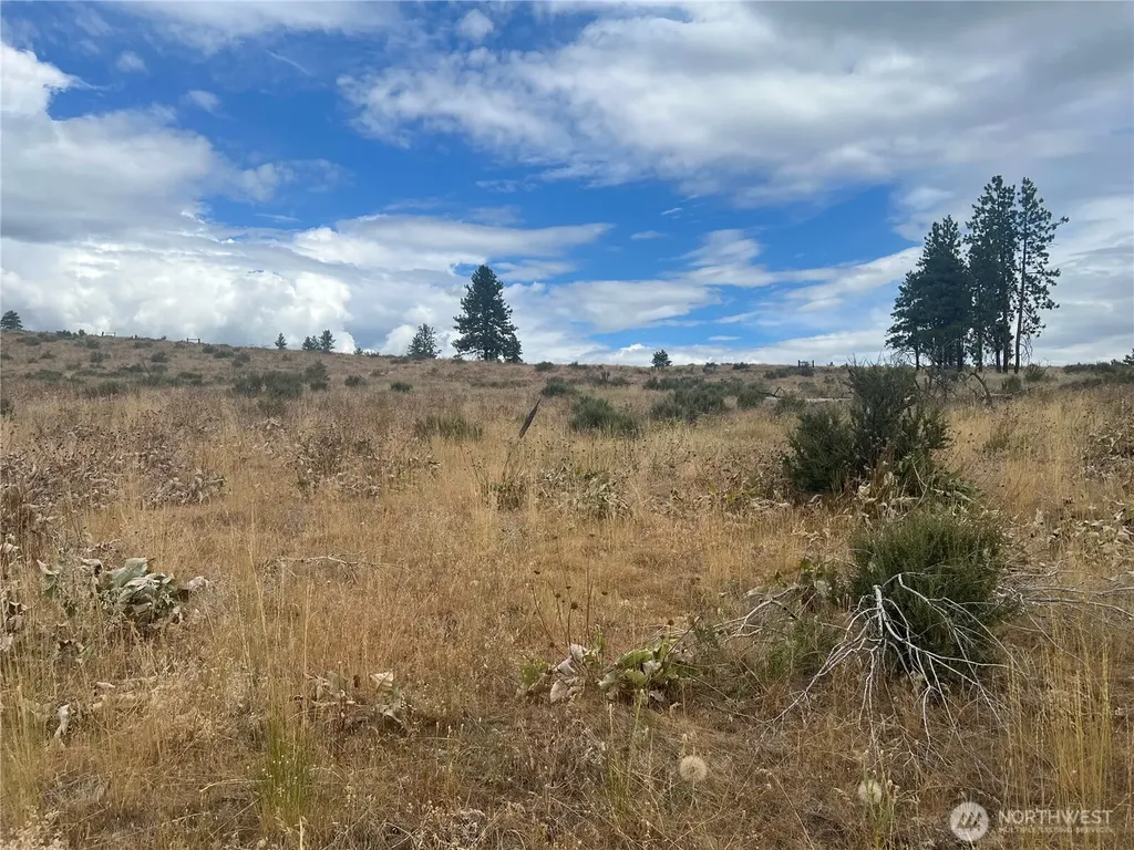 10 Landers Road Malott WA 98829
