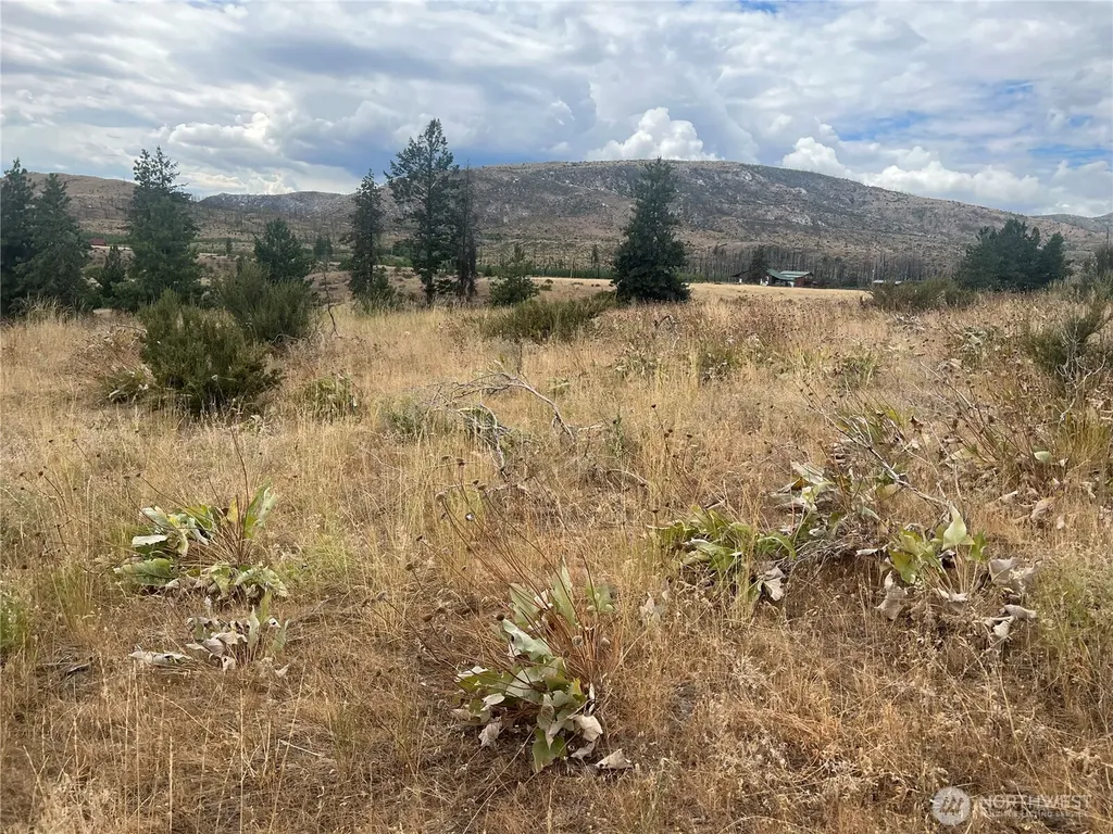 10 Landers Road Malott WA 98829