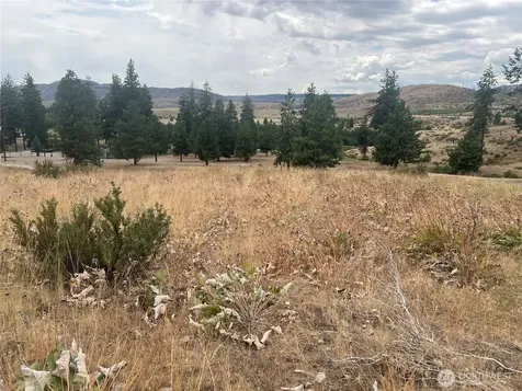 10 Landers Road Malott WA 98829
