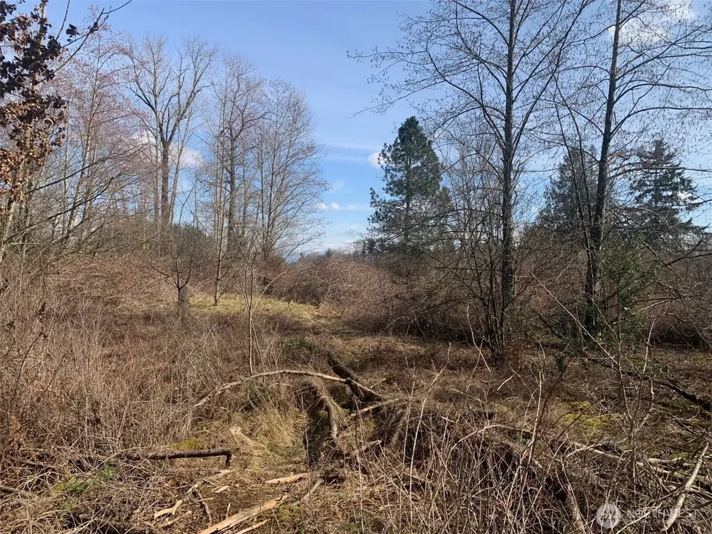 9924 Markworth Road Lynden WA 98264